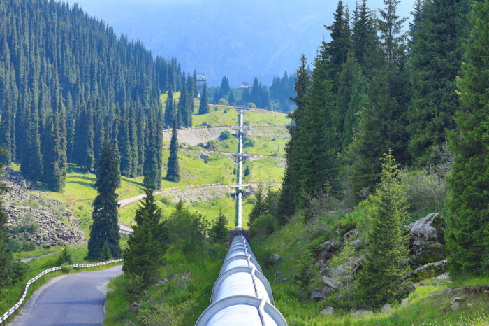 Colonial Pipeline ransomware attack highlights the value of supply chain resilience