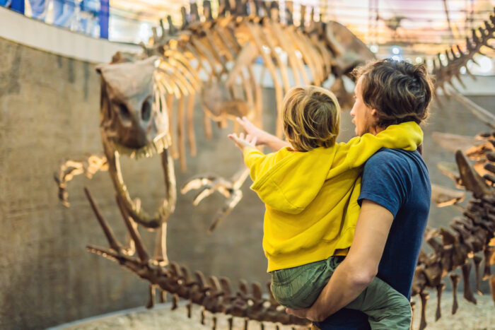 Cybersecurity in museums: it’s not just art and artefacts that are valuable to thieves today